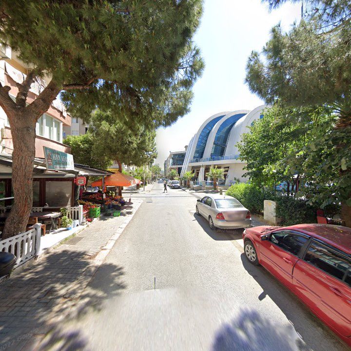 Fotoğraf 10