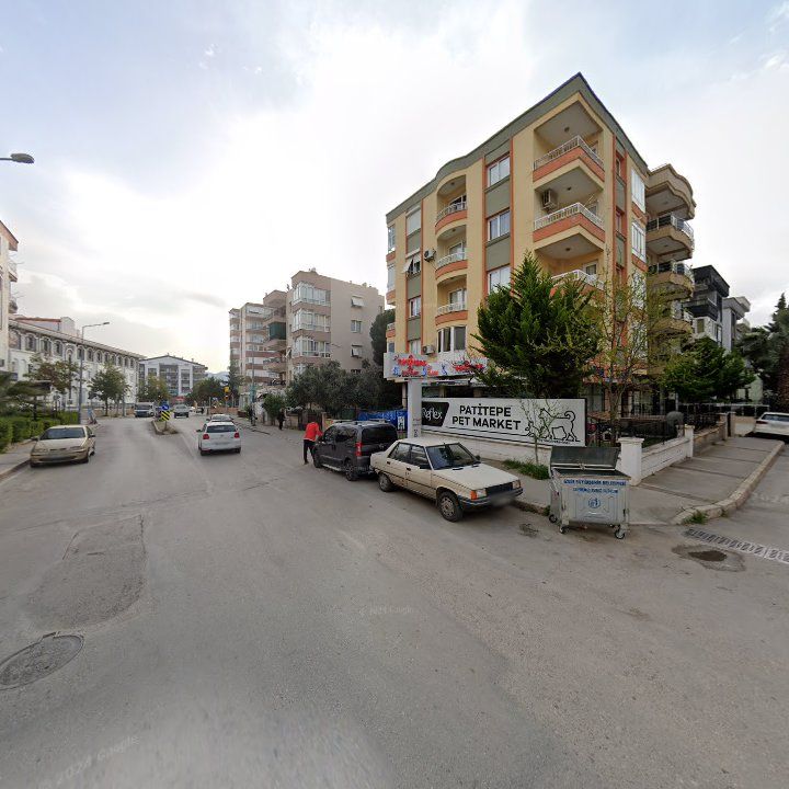 Fotoğraf 9