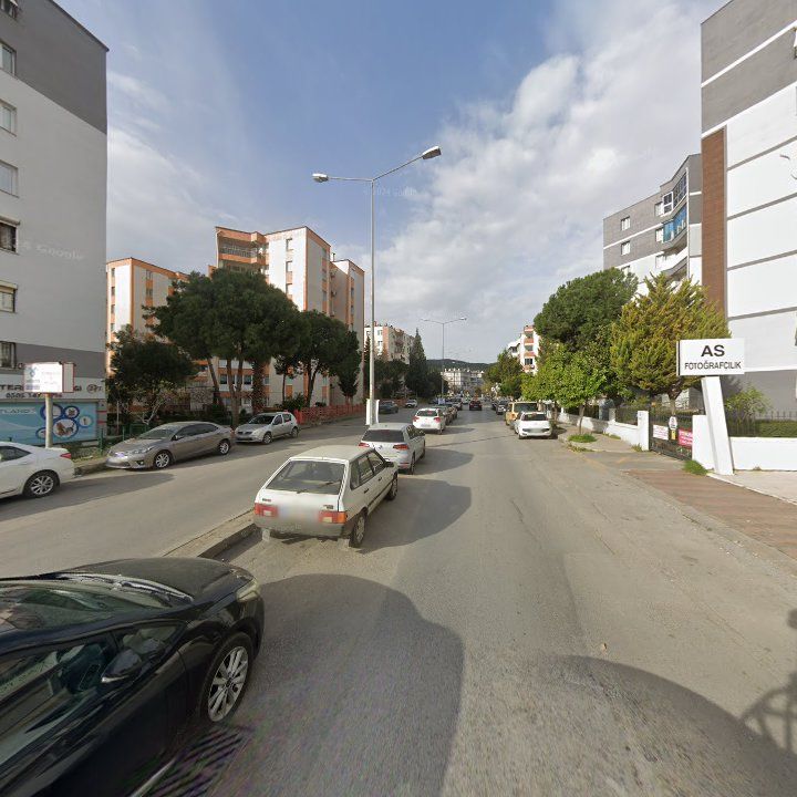 Fotoğraf 9