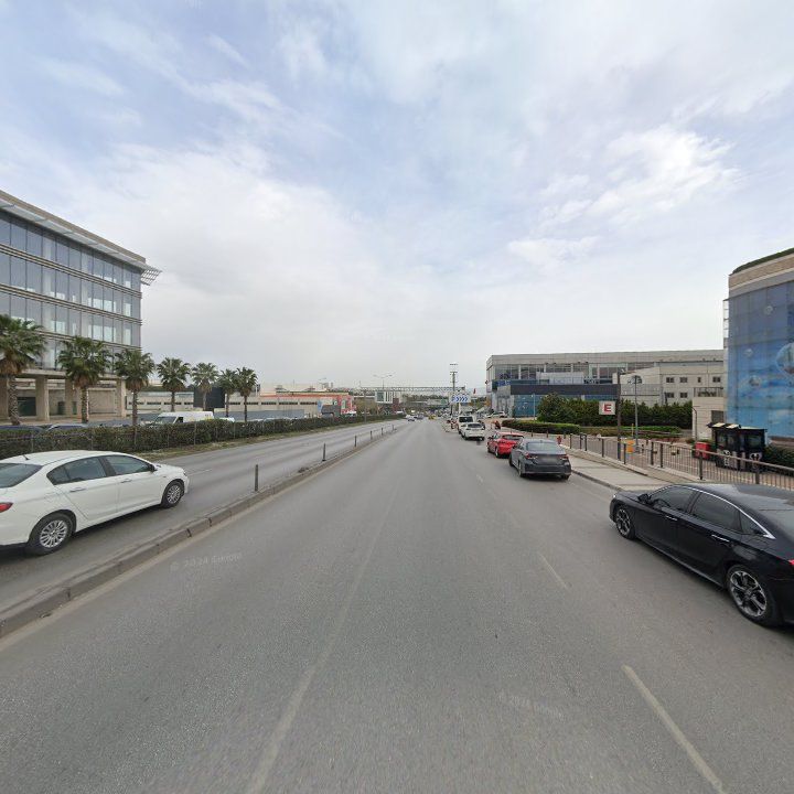 Fotoğraf 13