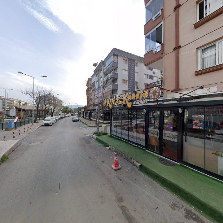 Fotoğraf 11