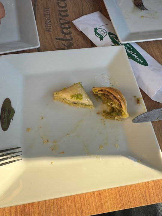 Fotoğraf 14