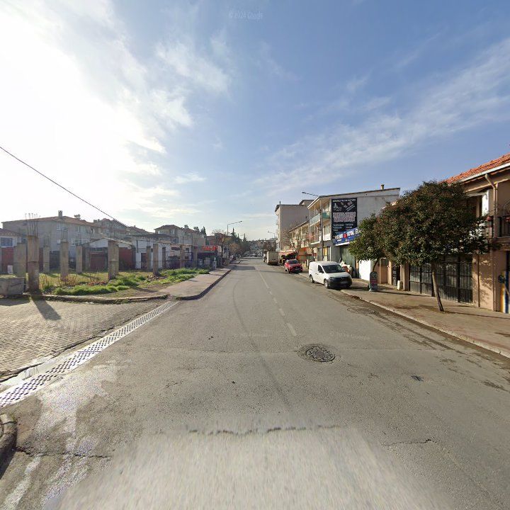 Fotoğraf 7