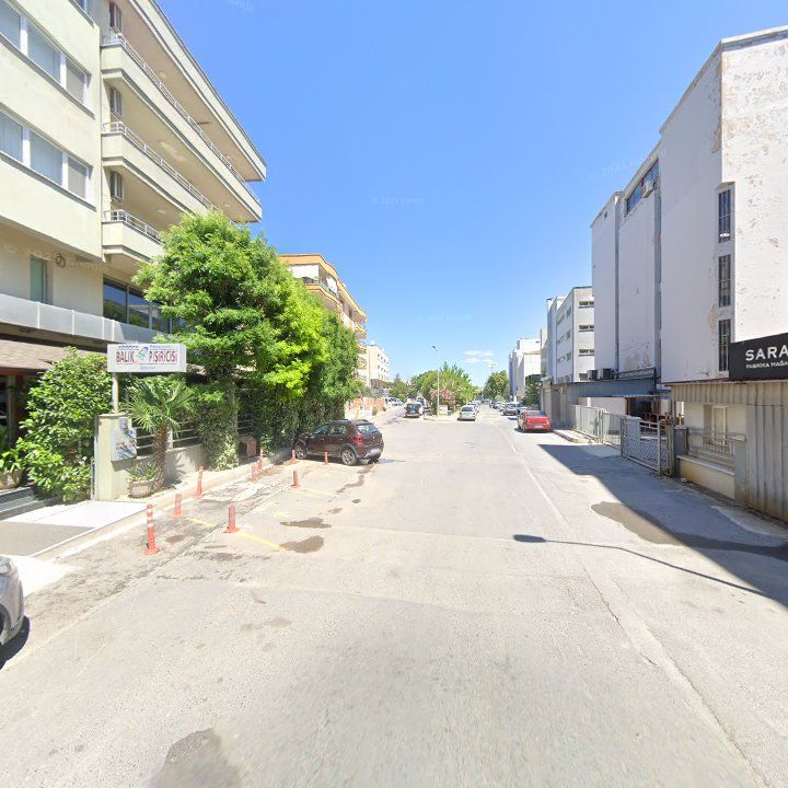 Fotoğraf 15