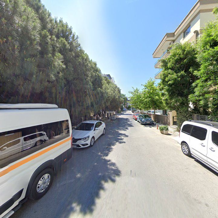 Fotoğraf 17