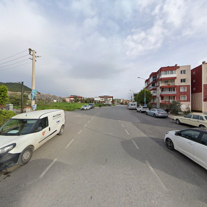 Fotoğraf 5