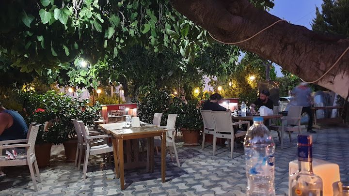 Fotoğraf 16