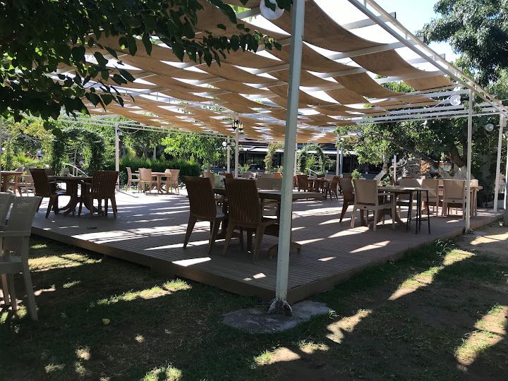 Fotoğraf 15