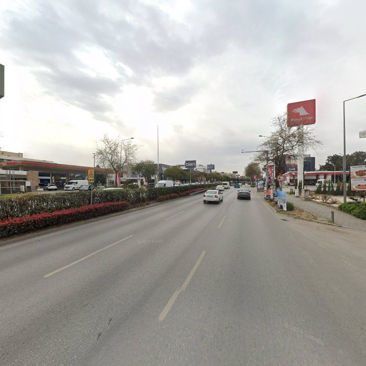 Fotoğraf 11