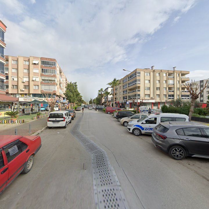 Fotoğraf 8