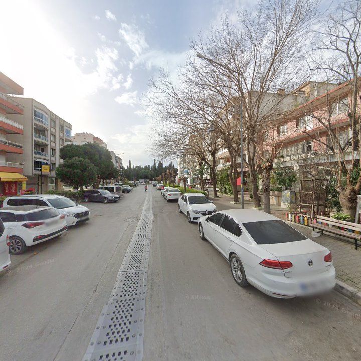 Fotoğraf 10