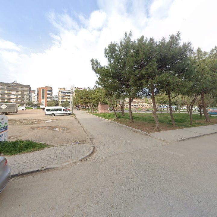 Fotoğraf 10