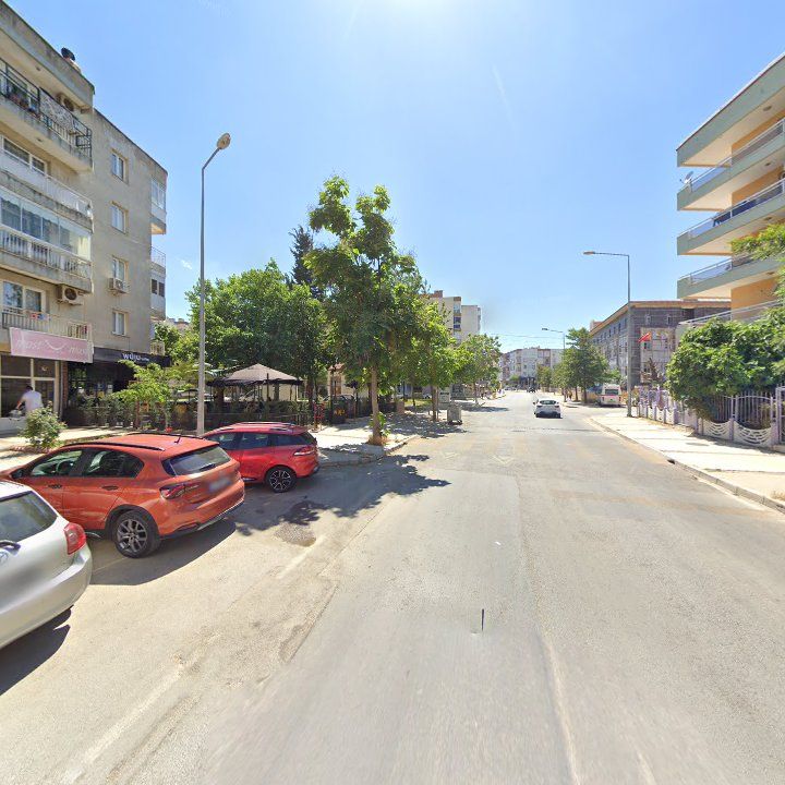 Fotoğraf 7