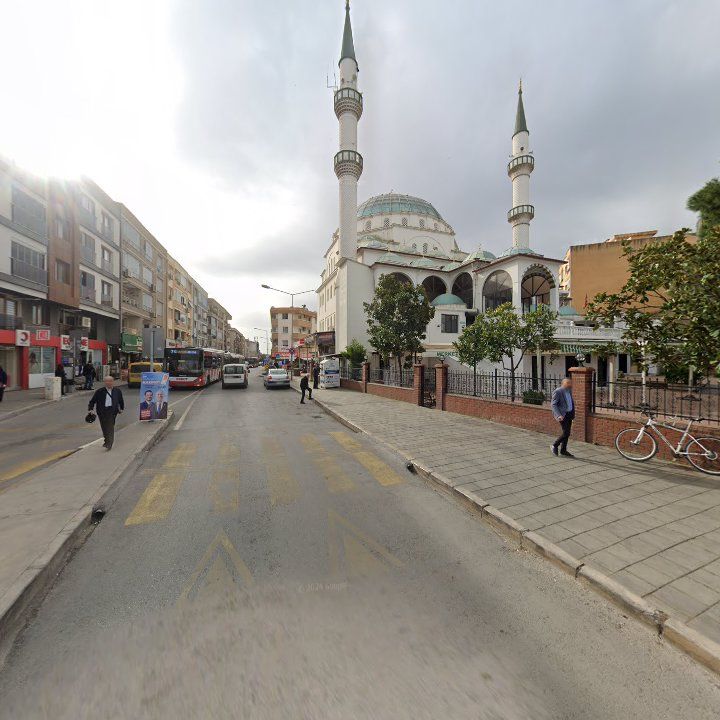 Fotoğraf 6