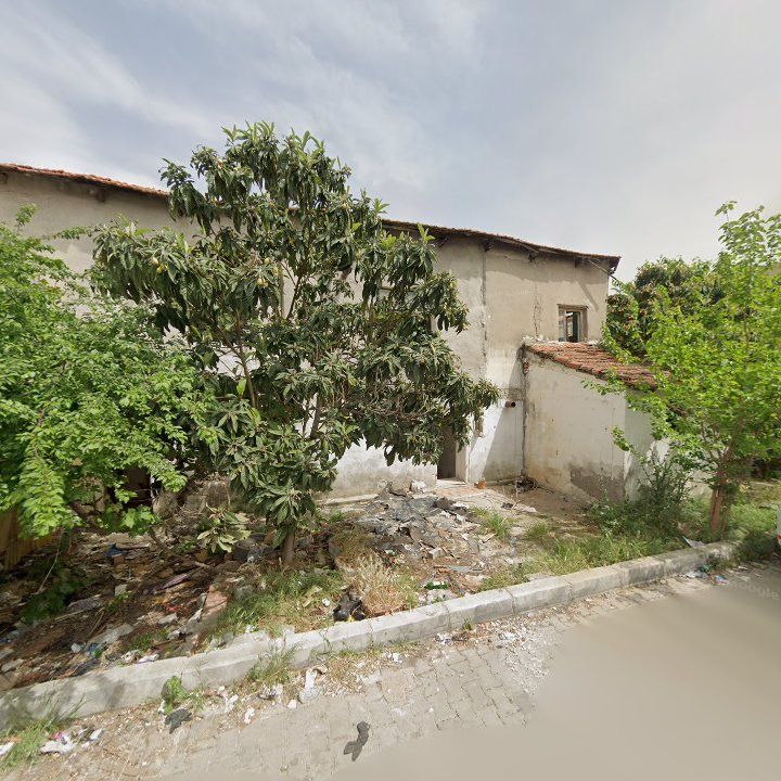 Fotoğraf 8