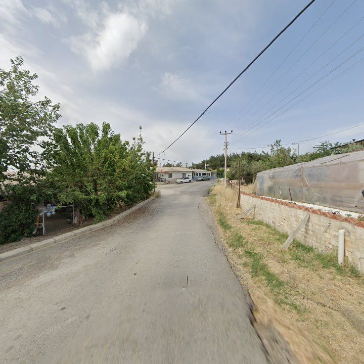 Fotoğraf 7