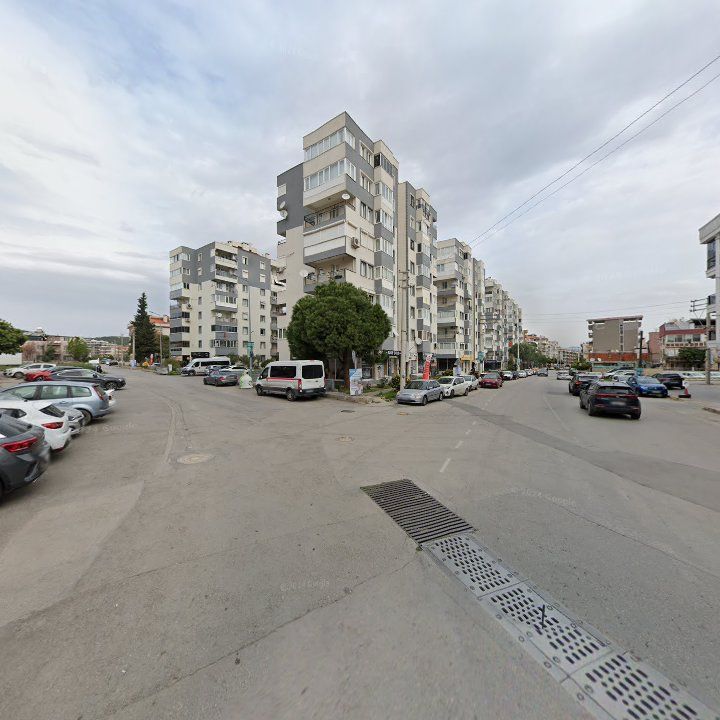 Fotoğraf 12