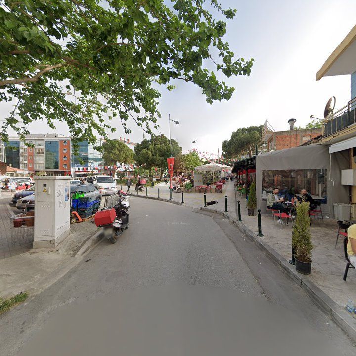 Fotoğraf 5