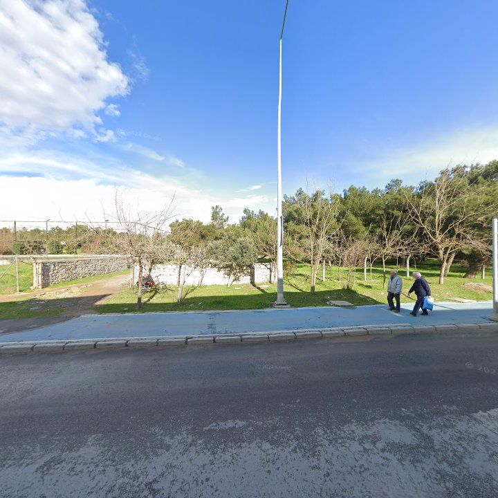 Fotoğraf 10