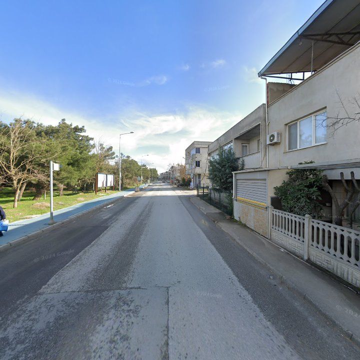 Fotoğraf 11