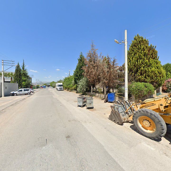 Fotoğraf 11