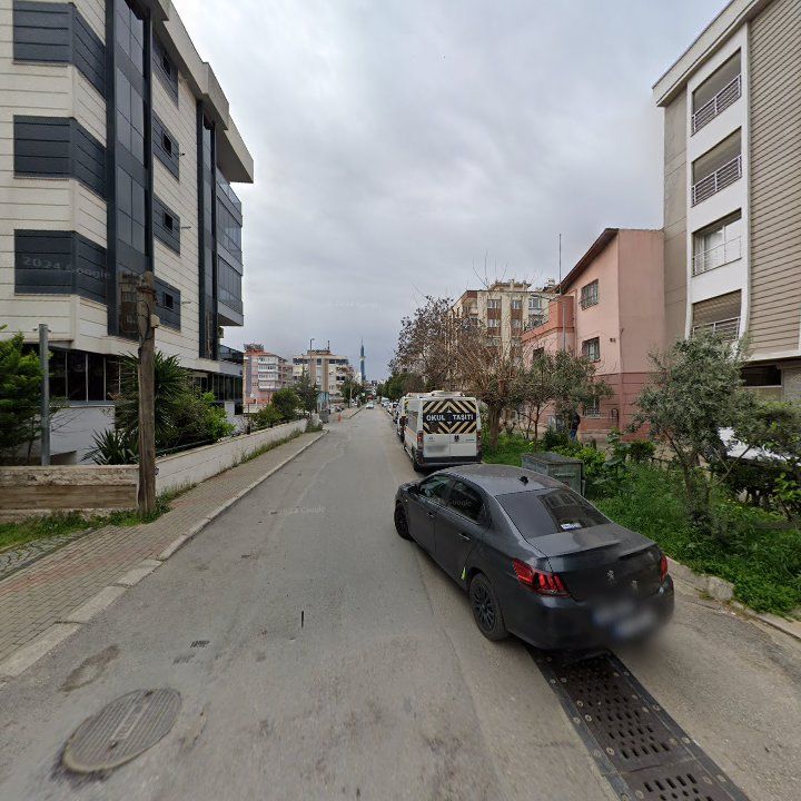 Fotoğraf 8