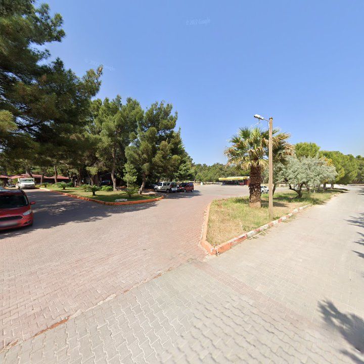 Fotoğraf 10