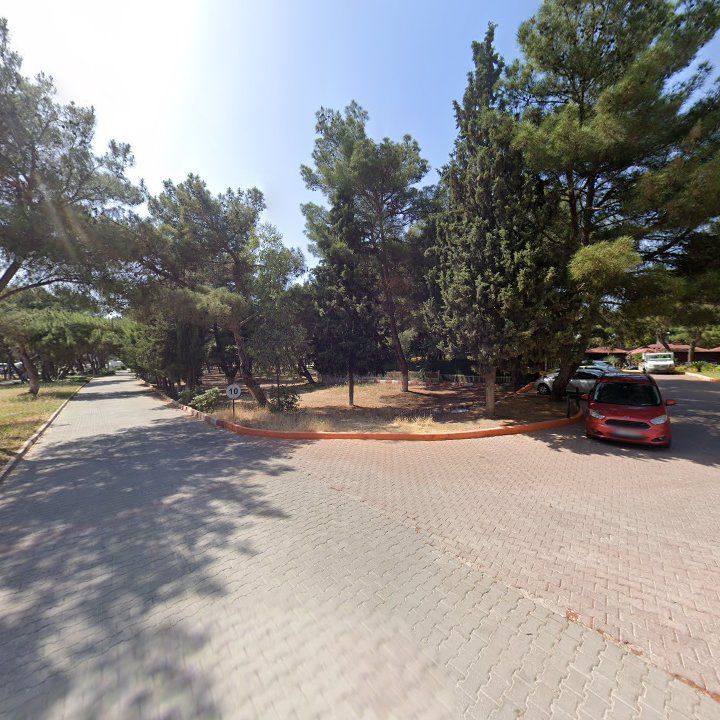 Fotoğraf 9