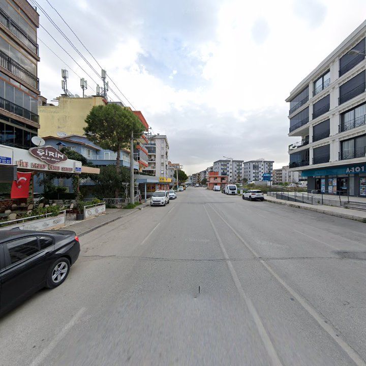 Fotoğraf 7