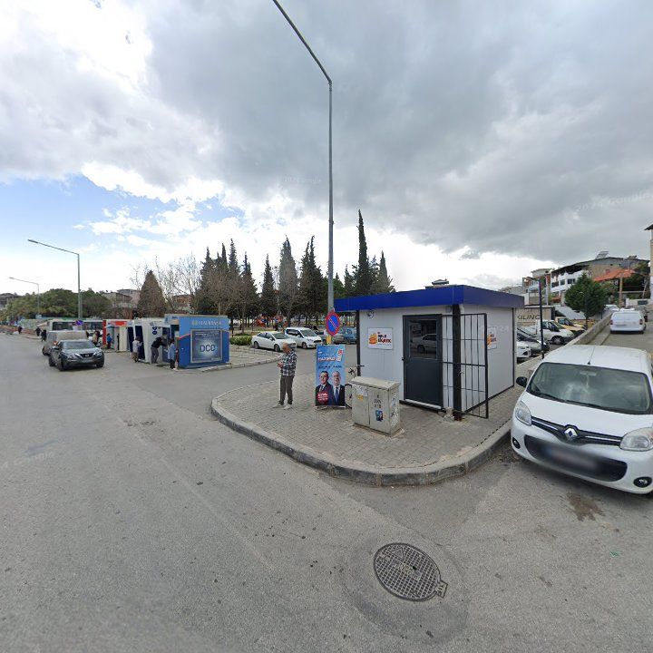 Fotoğraf 7