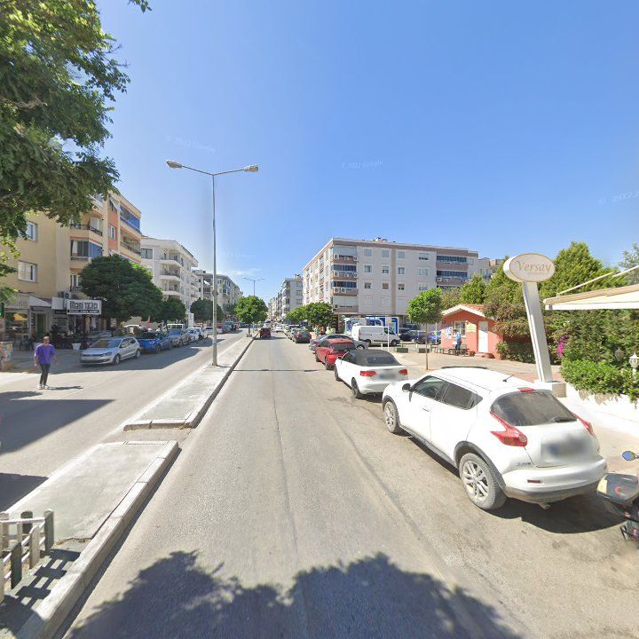 Fotoğraf 13
