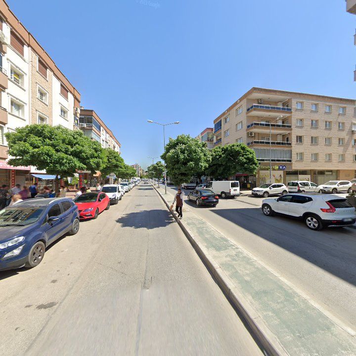 Fotoğraf 11