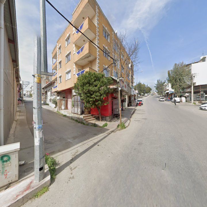 Fotoğraf 8