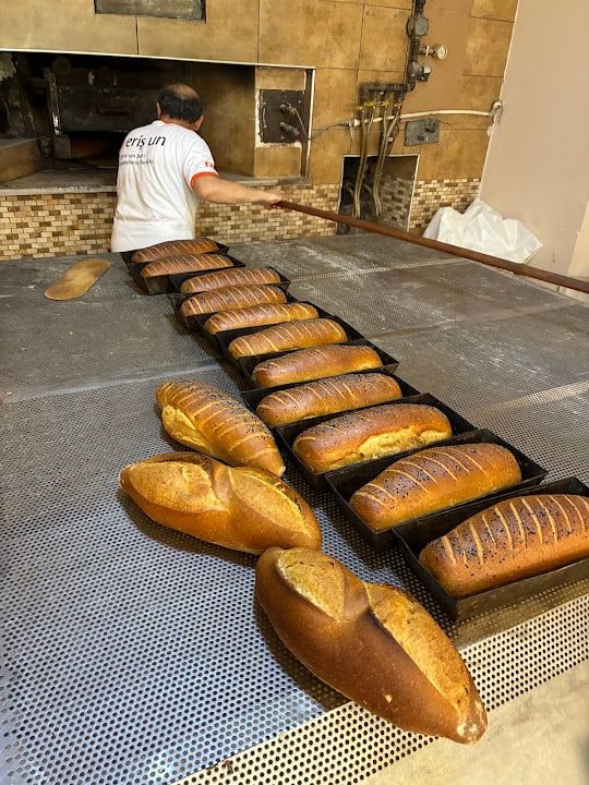 Fotoğraf 11