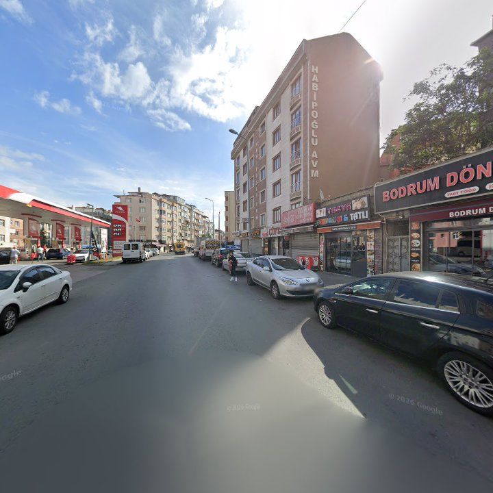 Fotoğraf 7