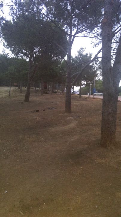 Halka Açık Orman Ve Baraj Manzaralı Çay Bahçesi