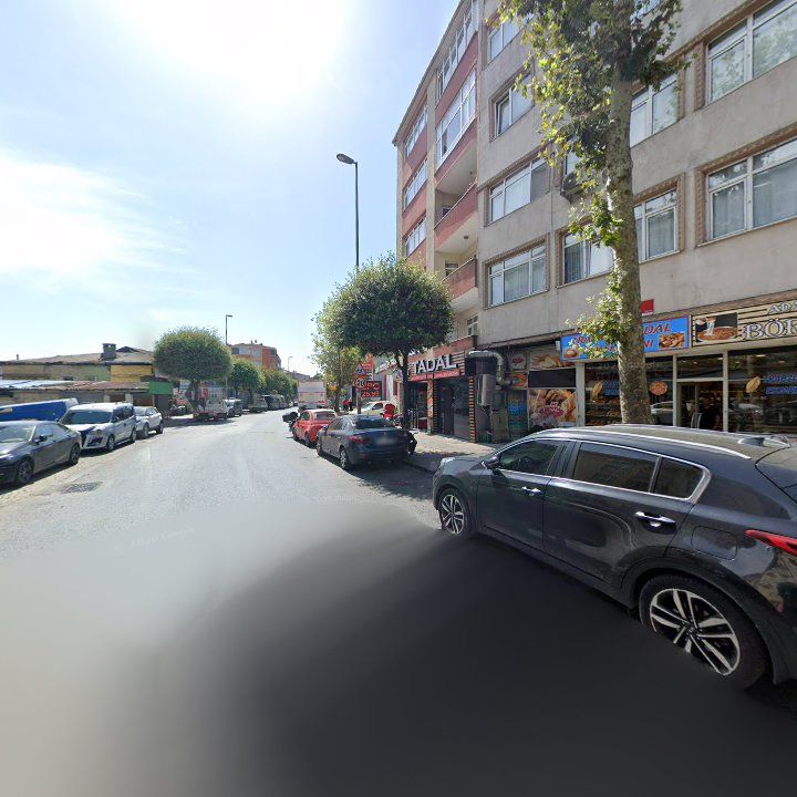 Fotoğraf 11