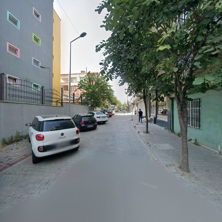 Fotoğraf 8