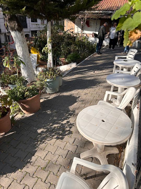 Pazariçi Köprülü Çay Bahçesi