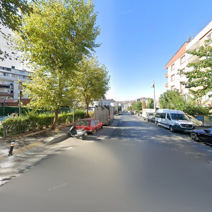 Fotoğraf 10