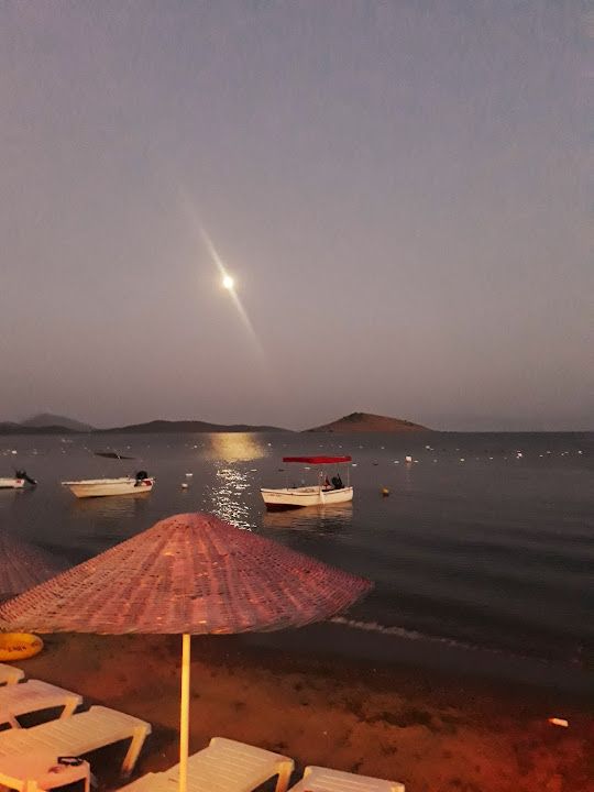 Yorum fotoğrafı 2
