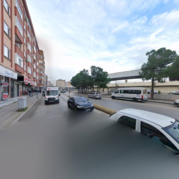 Fotoğraf 7