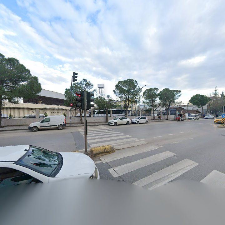 Fotoğraf 8