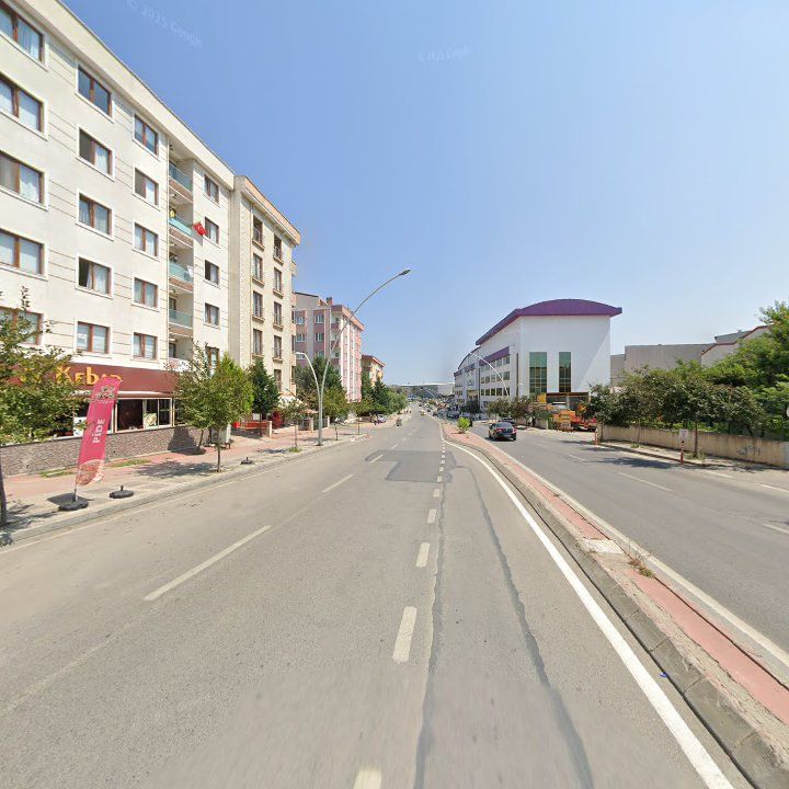 Fotoğraf 12