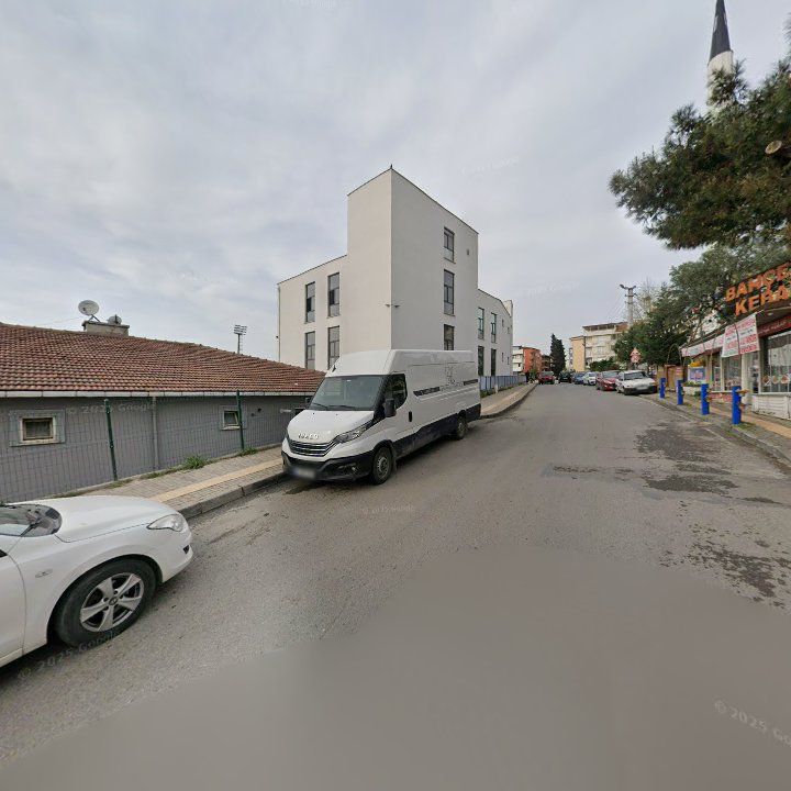 Fotoğraf 10