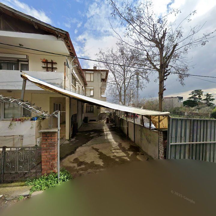 Fotoğraf 7