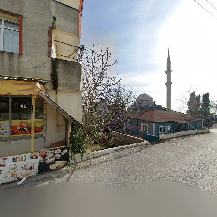 Fotoğraf 8