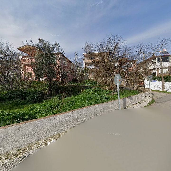 Fotoğraf 10