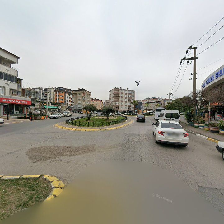 Fotoğraf 10