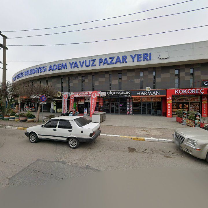 Fotoğraf 7